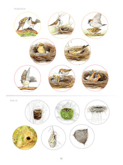Les bords de mer