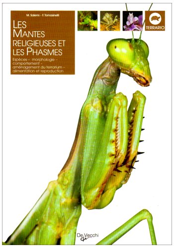Les mantes religieuses et les phasmes