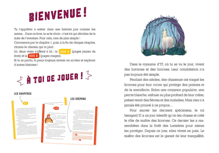 DEVIENS LE HEROS - LE MAITRE DES LICORNES