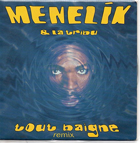 Tout baigne (Remix, 6623791, & La Tribu) [Import]