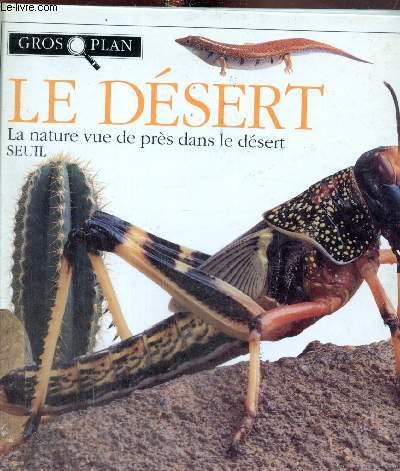 Gros plan sur le desert