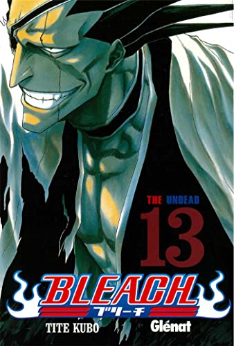 Bleach 13 (Shonen Manga)