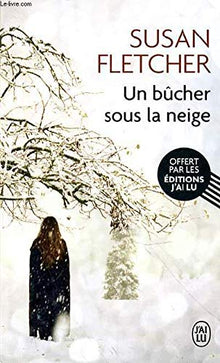 Un bûcher sous la neige