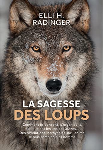 La sagesse des loups