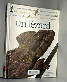 Qui suis je ? un lezard 102097