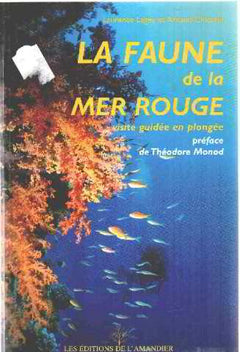 La Faune de la Mer Rouge, visite guidée en plongée