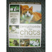 encyclopedie des chats et des chatons