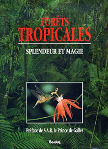 Forêts tropicales: Splendeur et magie