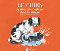 Le chien qui sautait toujours dans les flaques