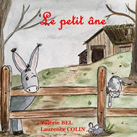 Le petit âne