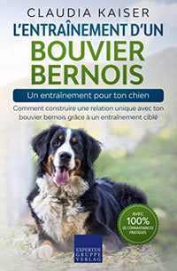 L’entraînement d’un bouvier bernois