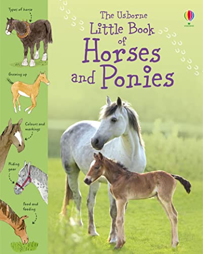 Little Book Horses Ponies