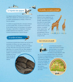 On dit que les girafes sont en Afrique