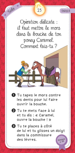 Quiz du cheval et du poney