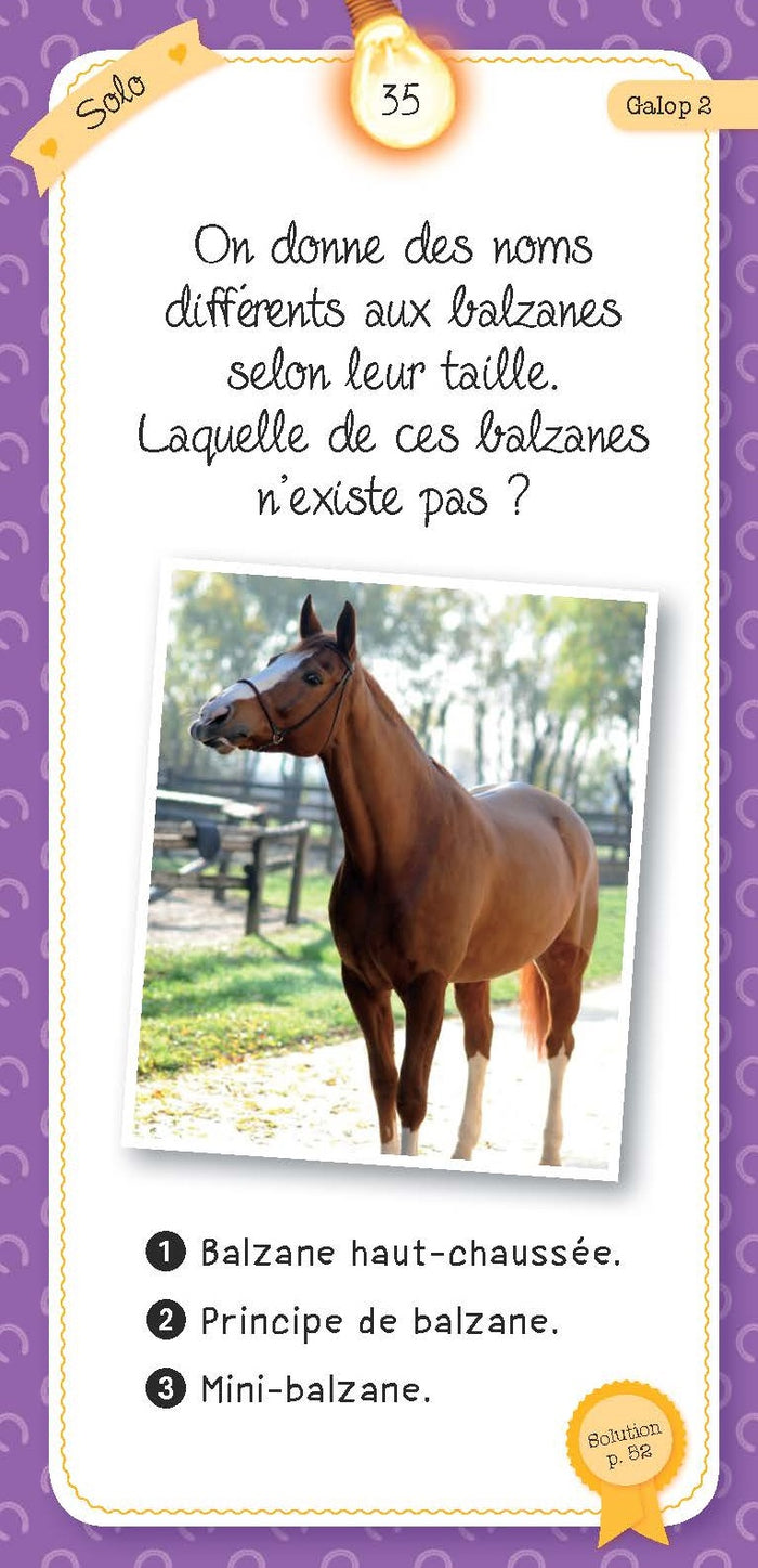 Quiz du cheval et du poney