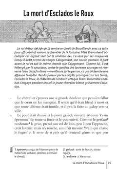 Yvain ou le Chevalier au lion