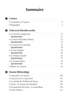 Yvain ou le Chevalier au lion