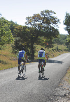 Balades à vélo dans les Alpilles