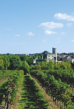 Gironde