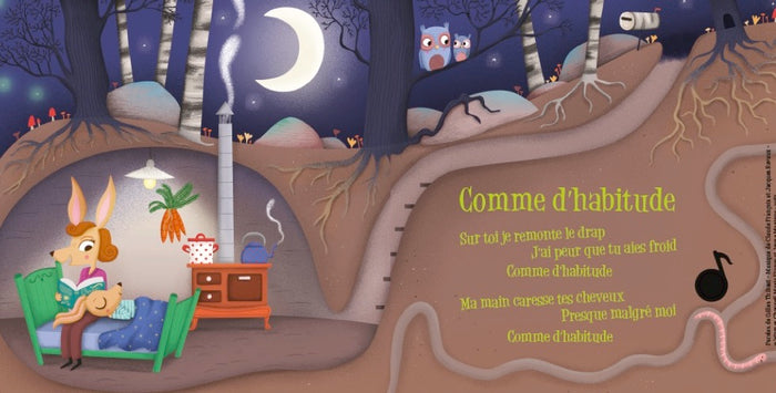 Mon premier Claude François