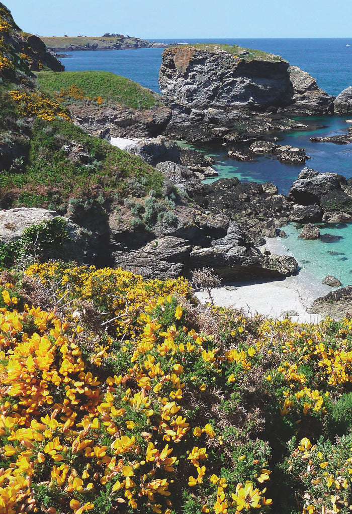 Belle-île, Houat et Hoëdic