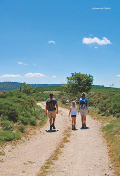 Dans les Cévennes