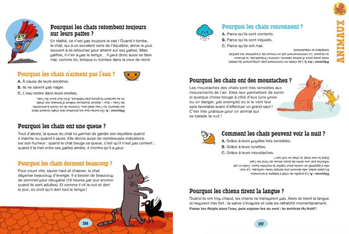 Les incollables - 700 Pourquoi Comment - Édition 2019