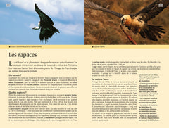 Guide bleu Pays Basque