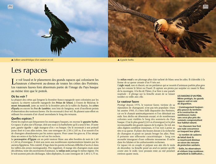 Guide bleu Pays Basque