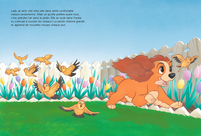 La belle et le clochard - Disney Cinéma