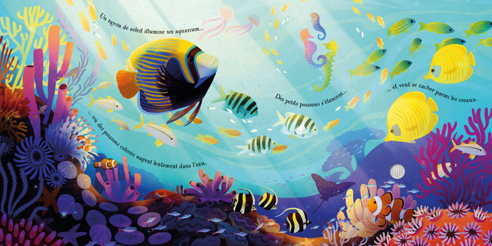 Le Carnaval des animaux