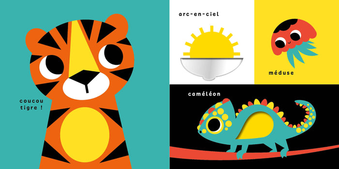 Mon premier imagier à toucher - Découvrir