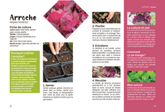 Un potager pas comme les autres