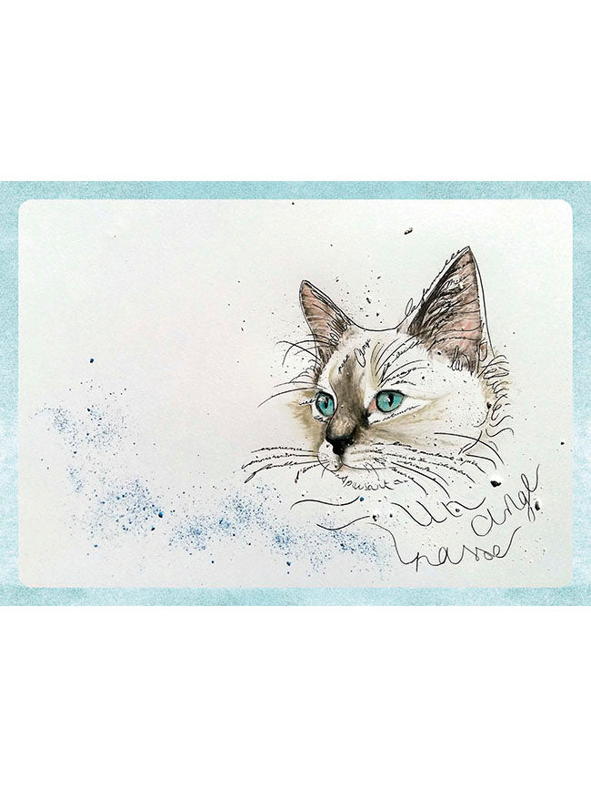 Méditations de chats