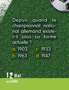 Le Grand 365 jours de foot