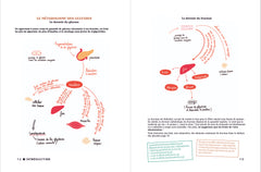 Mes recettes IG bas - spécial anti-glucose