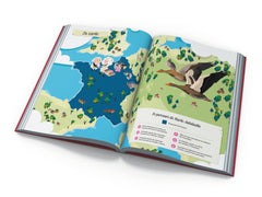 Les Reines de France