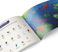 Apparition de la vie