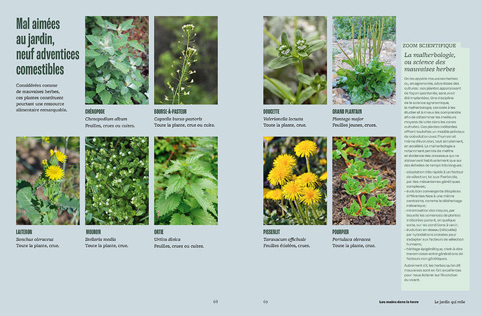 Jardiner - Les sciences cachées au jardin