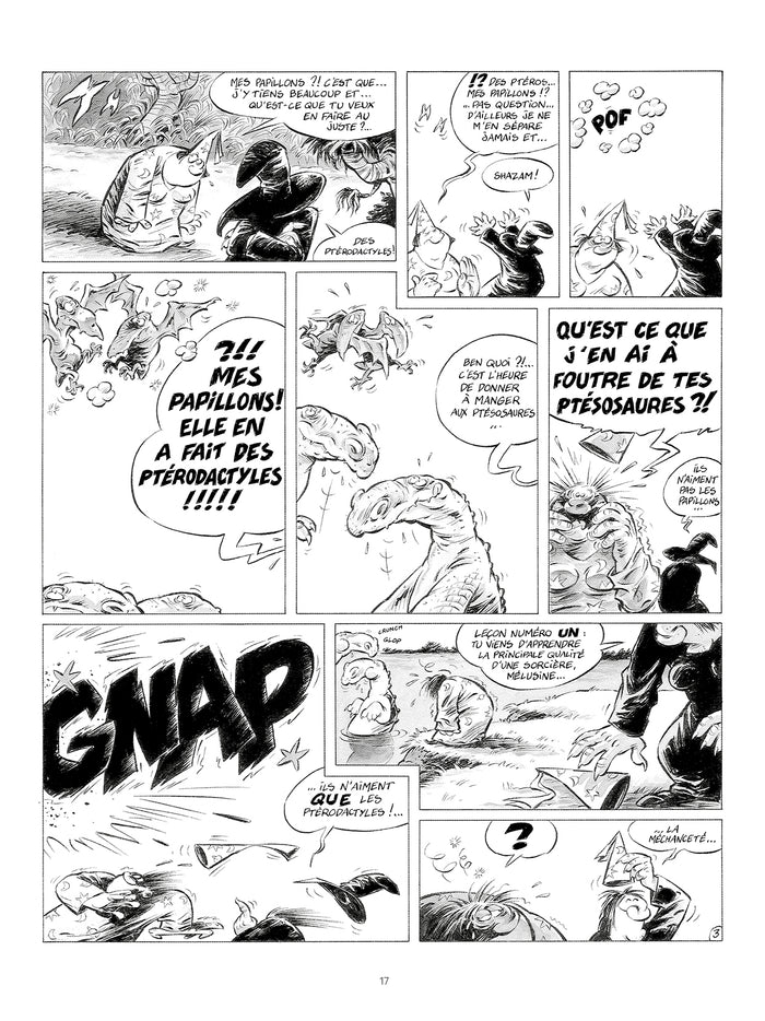 Radada - Intégrale: La méchante sorcière