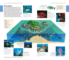 Guide Voir Guadeloupe