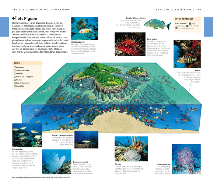 Guide Voir Guadeloupe