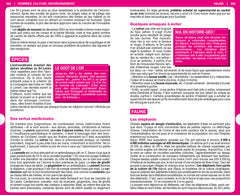 Guide du Routard Sri Lanka 2020