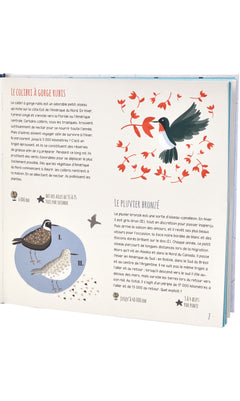 Les grands voyageurs