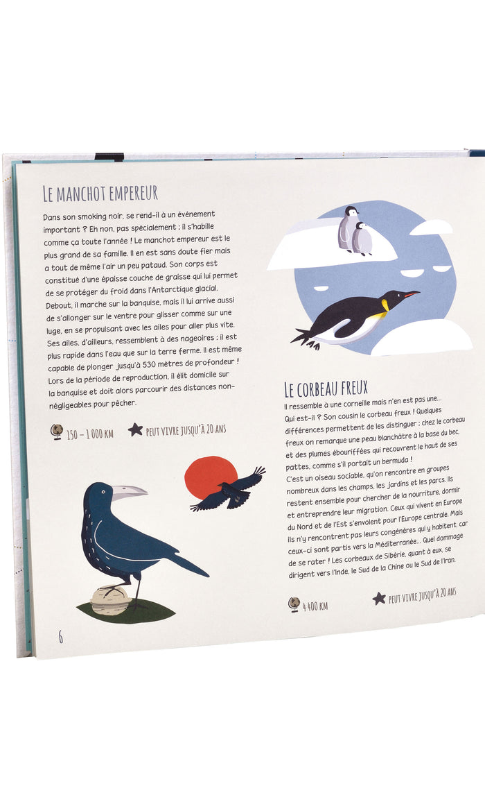 Les grands voyageurs