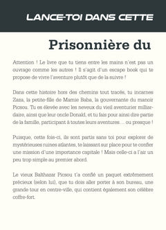 Escape ! Piégé avec les Rapetou: Une aventure de La Bande à Picsou