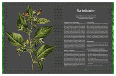 Poisons: L'histoire des poisons, des poudres et des empoisonneurs