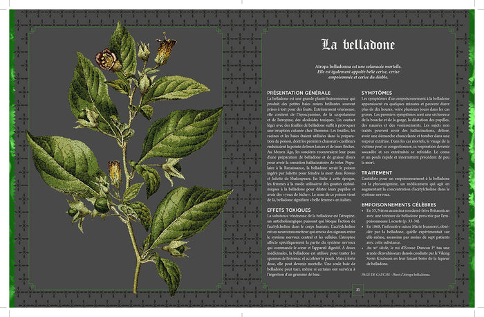 Poisons: L'histoire des poisons, des poudres et des empoisonneurs