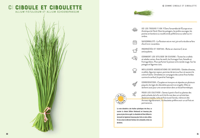 Répertoire des herbes aromatiques