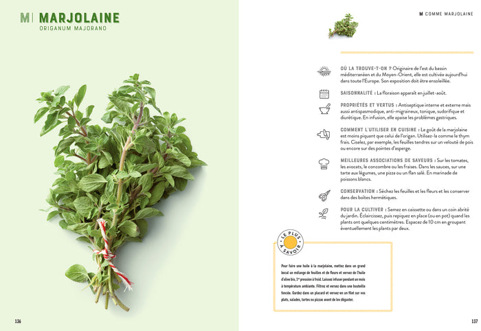 Répertoire des herbes aromatiques